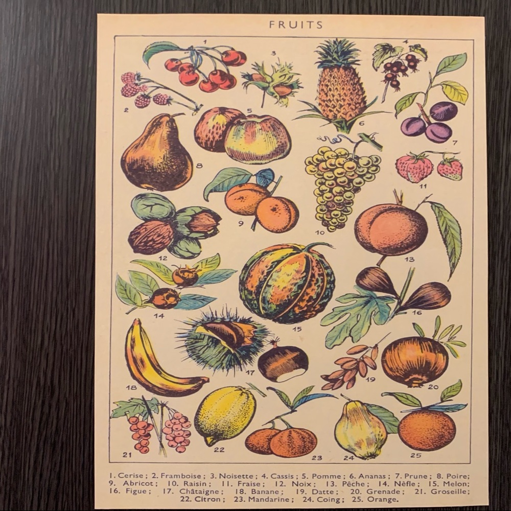 Vintage Adolphe Millot Scientific Fruit Chart Print 8x10 - Picture 2 of 2